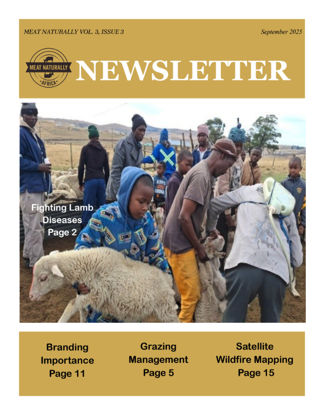 Cover Image 4