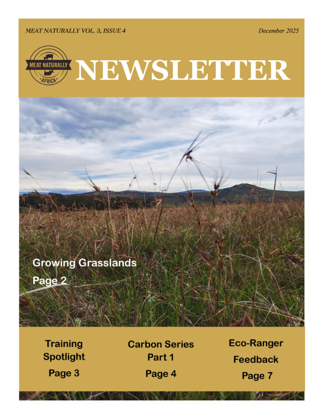 Cover Image 4