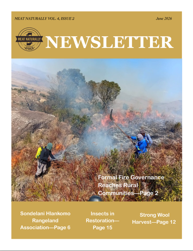 Cover Image 4