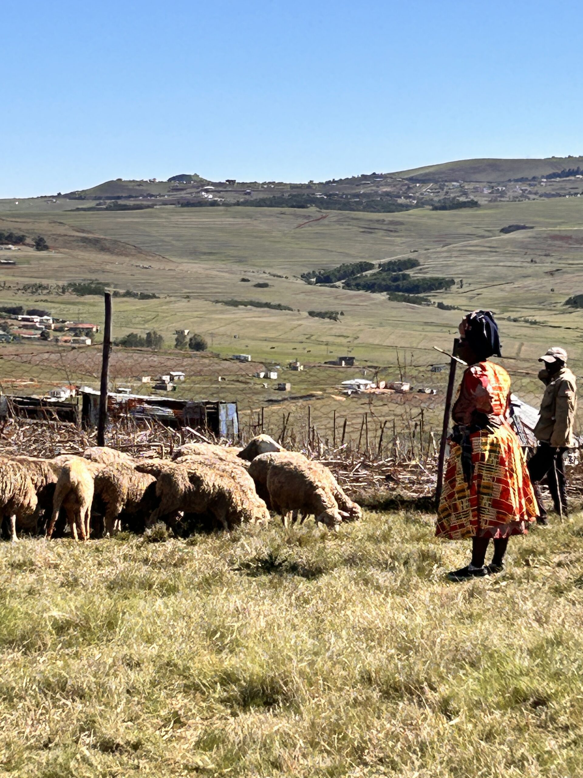 Fleece Naturally Africa on Instagram