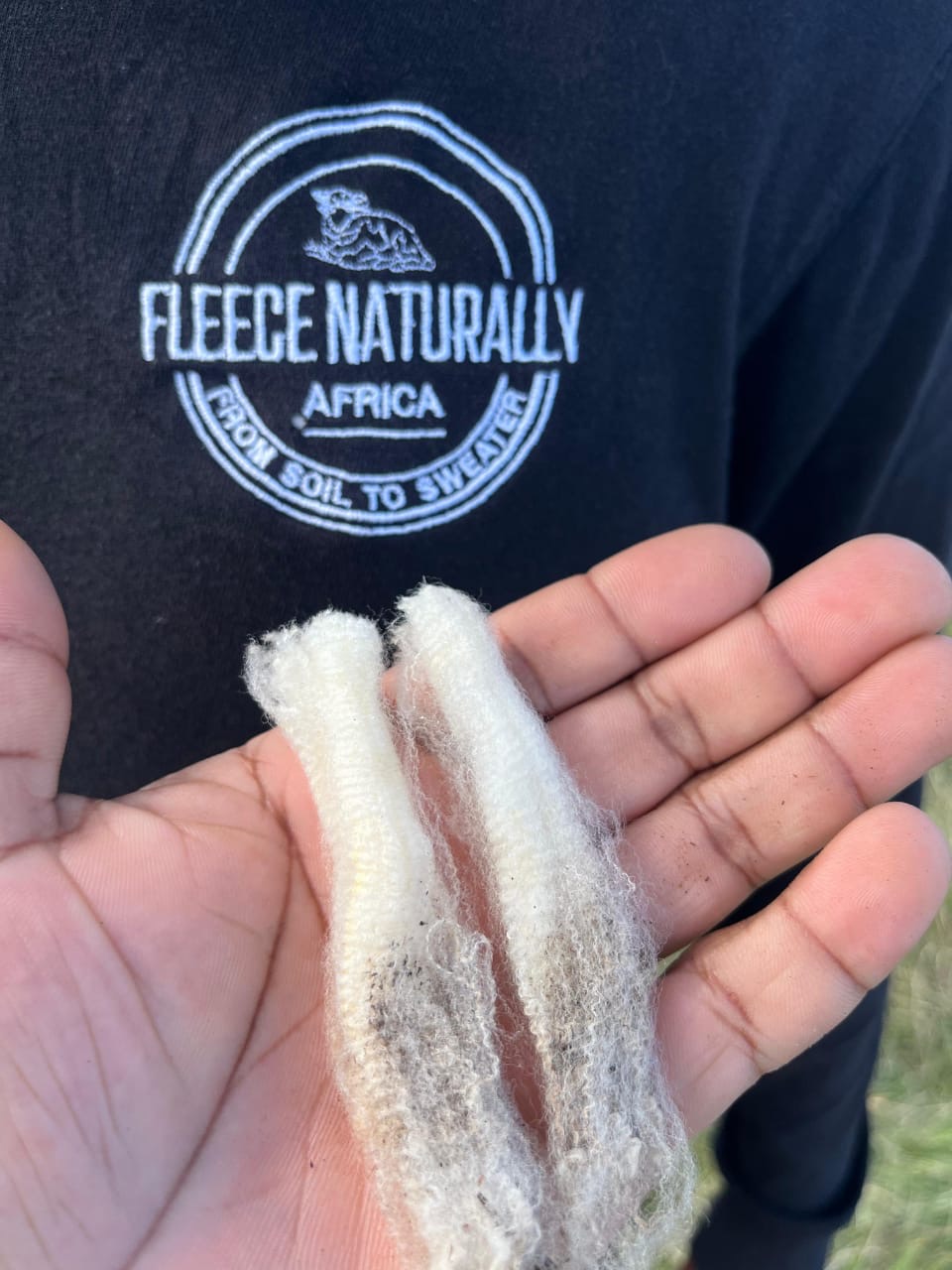 A hand holds a lock of raw, freshly clipped wool against a Fleece Naturally Africa jacket.